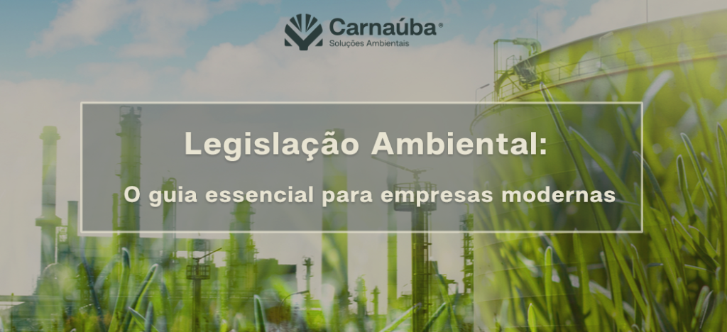 Legislação Ambiental: O guia essencial para empresas modernas